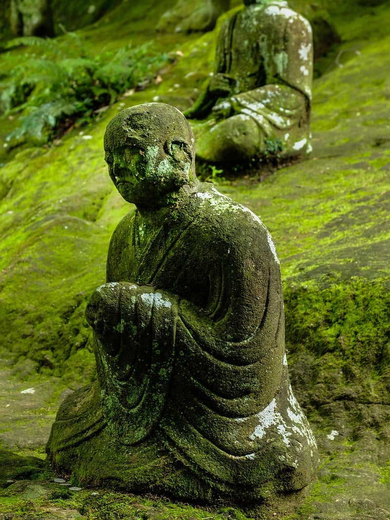 Meditation Camp