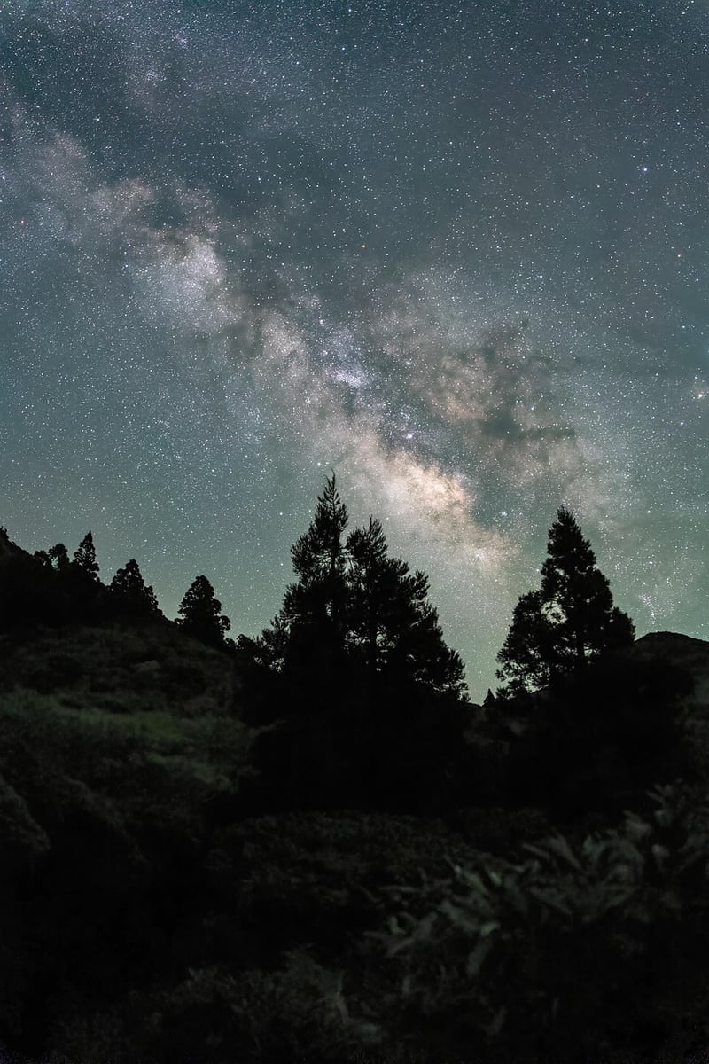 Mindful walking under the stars